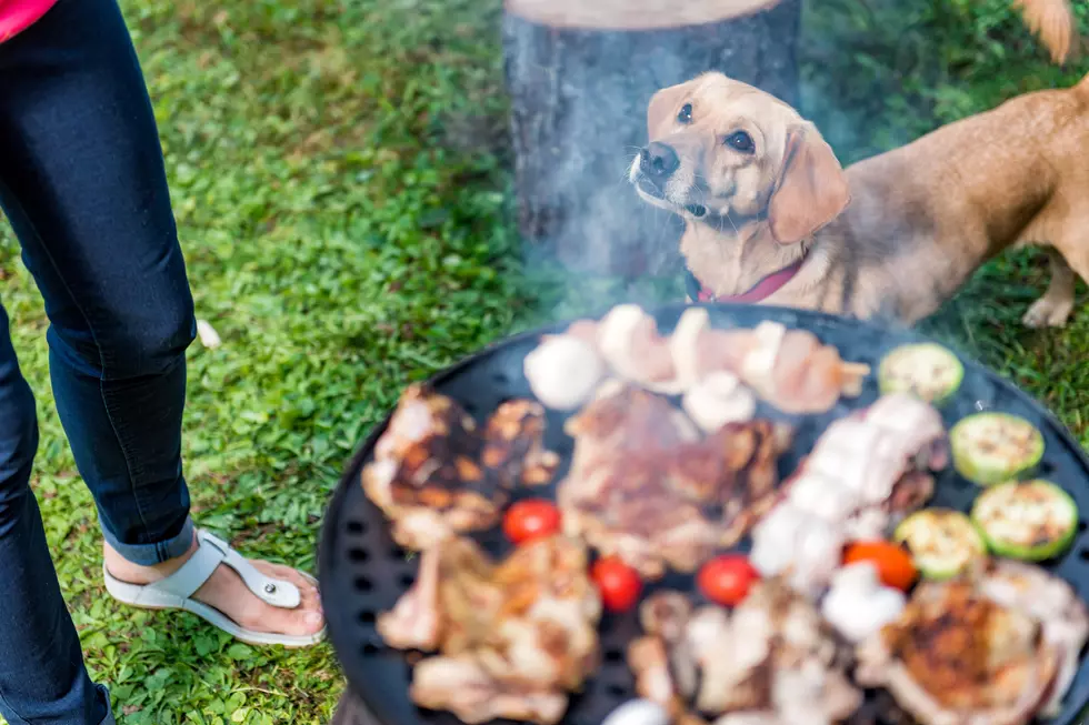 6 Cookout Foods That Can Make Your Dog Sick