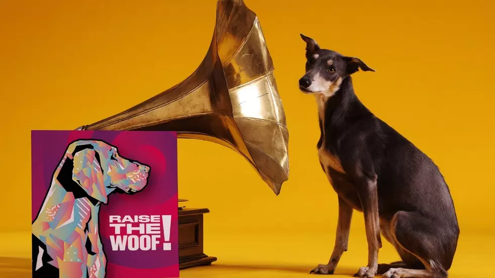 ‘Raise The Woof’ Is The First Christmas Song For Dogs