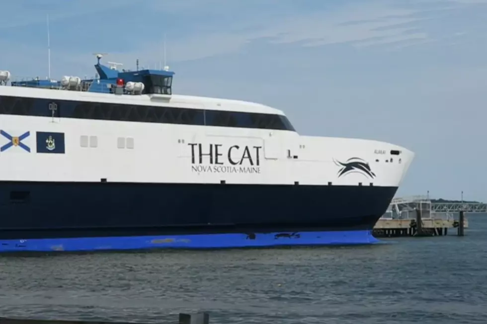 CAT Service Suspended for the Third Straight Year