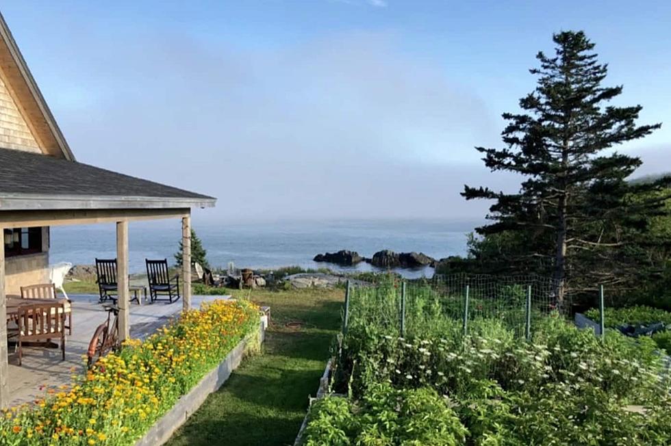 Please Take My Credit Card Before I Impulsively Rent This Lubec Seaside Dream