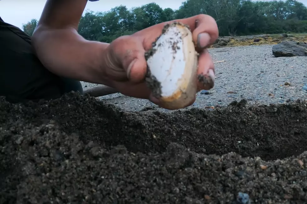 Video still from Chris Taylor's Maine Stream Adventures via YouTube