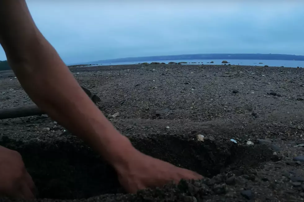 Video still from Chris Taylor's Maine Stream Adventures via YouTube