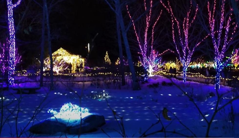 Gardens Aglow In Boothbay Will Be A Drive-Thru Event This Year