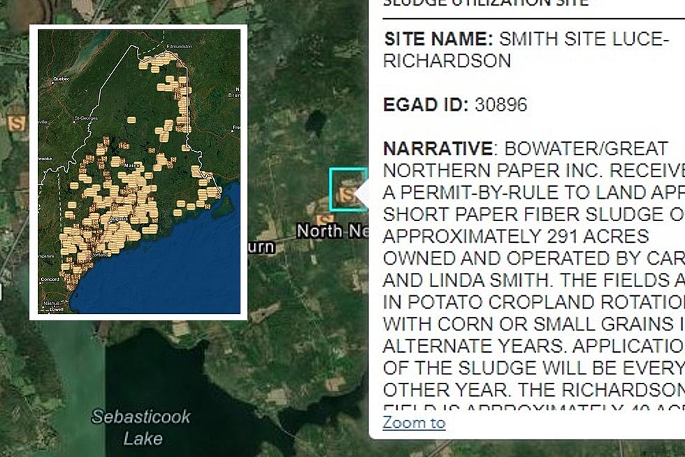 Map Shows Where &#8216;Forever Chemicals&#8217; Are Identified In Maine