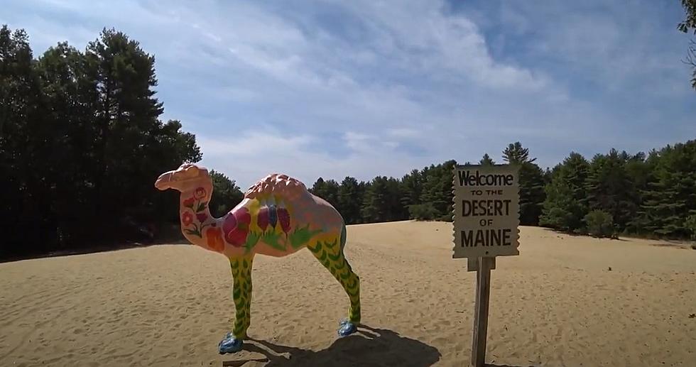 Did You Know That Maine Has A Desert?