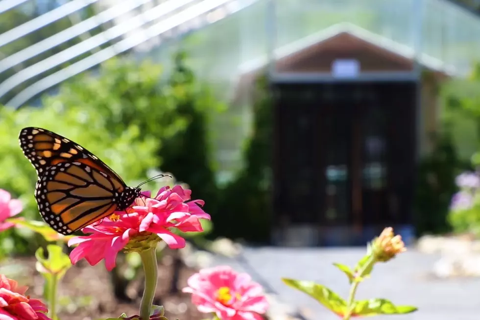 ROADTRIP WORTHY: Free Tickets For Mainers Memorial Weekend At Coastal Maine Botanical Gardens