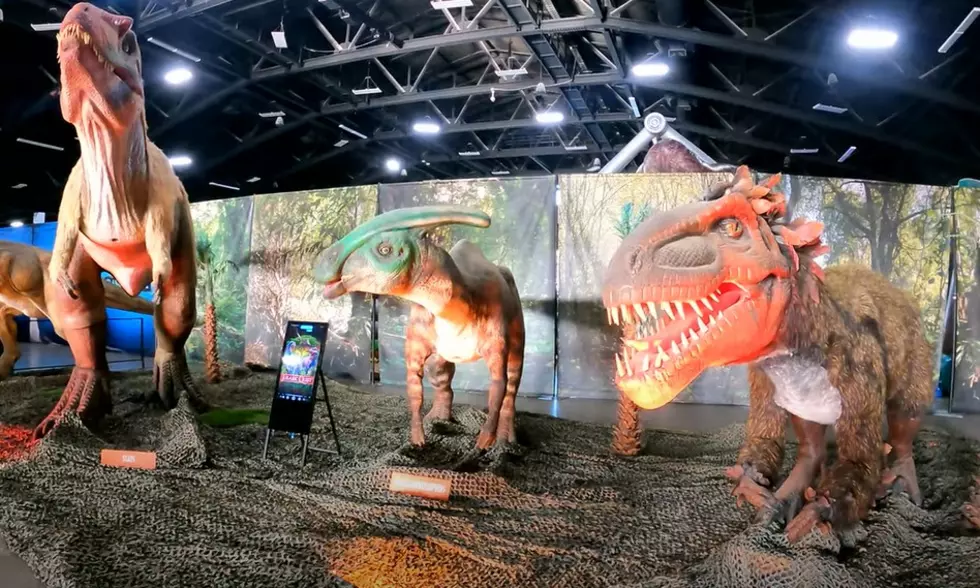 ‘Jurassic Quest’ Is Coming To The Cross Insurance Center In Bangor