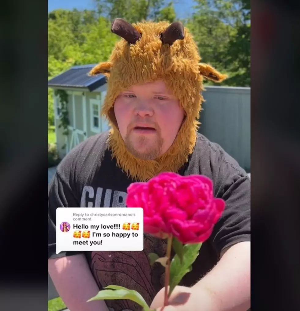 Lincoln TikTok Star Gets A Shout Out From A Famous Disney Actress