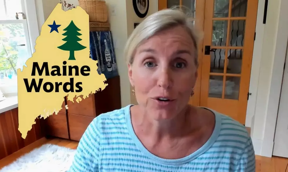 Maine Comedian Has A Translator Explain ‘Maine Words’