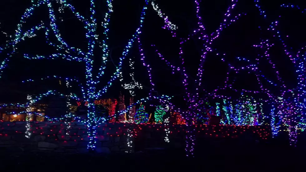 ‘Gardens Aglow’ Returns As A Walk Through Event This Year