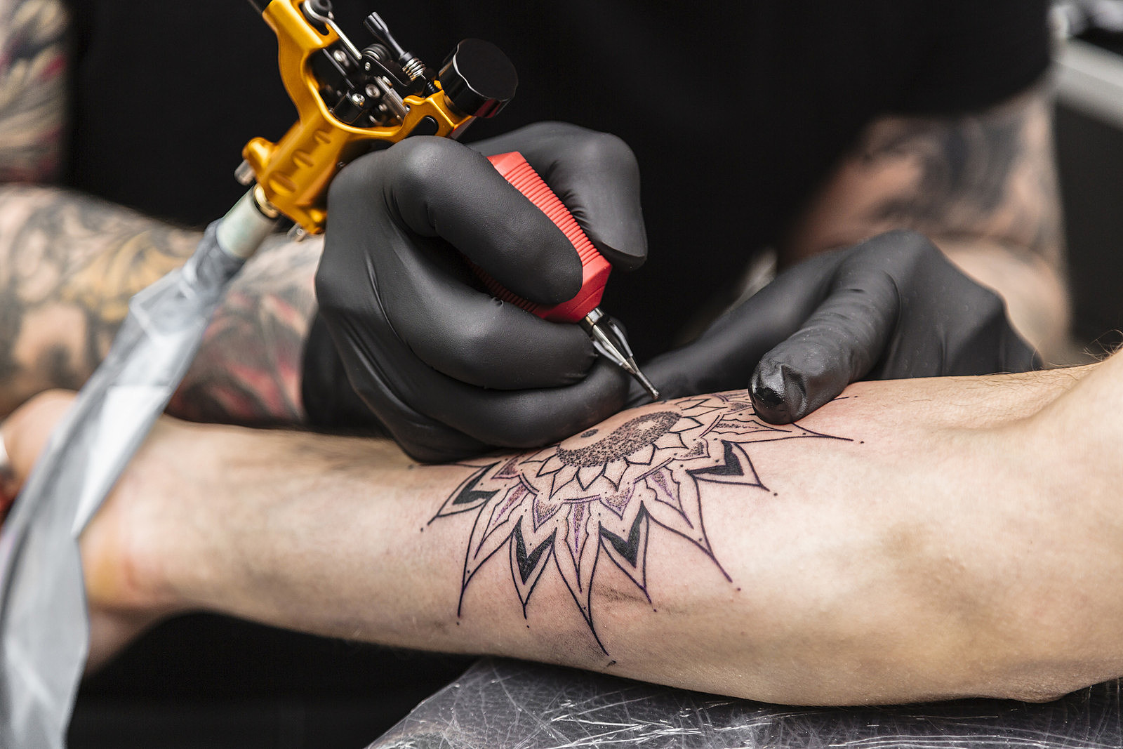 Miss Tattoo Week tem mais de 70% do corpo tatuado e língua cortada: 'A dor  é gostosa' | São Paulo | G1