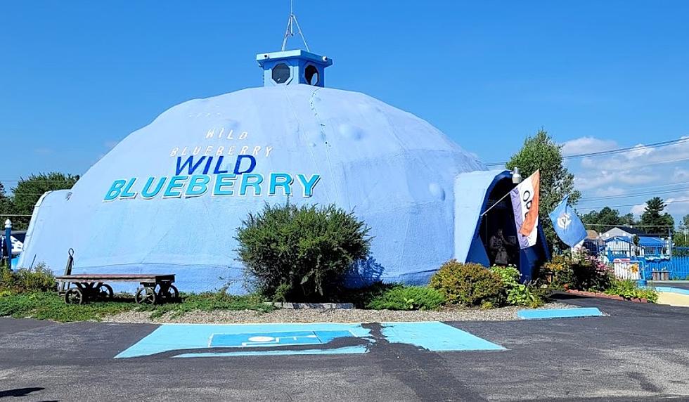 Road Trip Alert: Wild Blueberry Land Opens June 24th