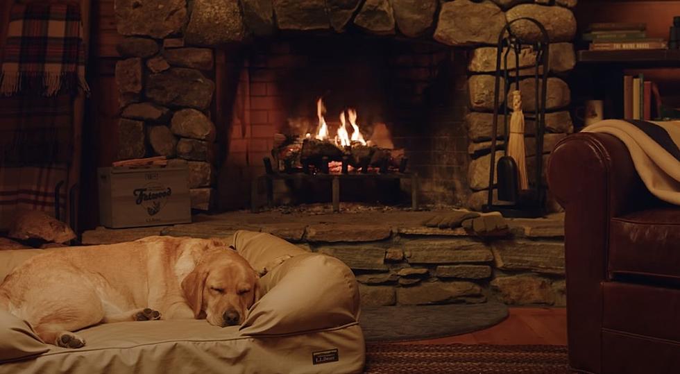 The LL Bean ‘Yule Dog’ Video Is The Perfect Holiday Chill Out