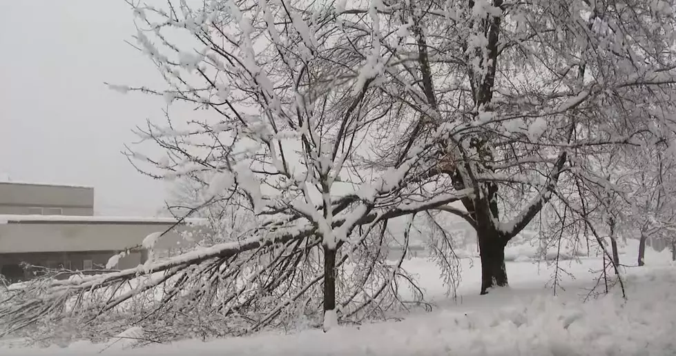 Mainers Share TikTok Videos From Thursday&#8217;s Wild Nor&#8217;easter