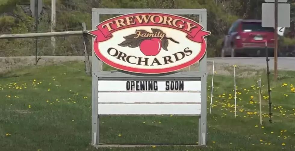 Treworgy Family Orchard Opens For The 2024 Season In May
