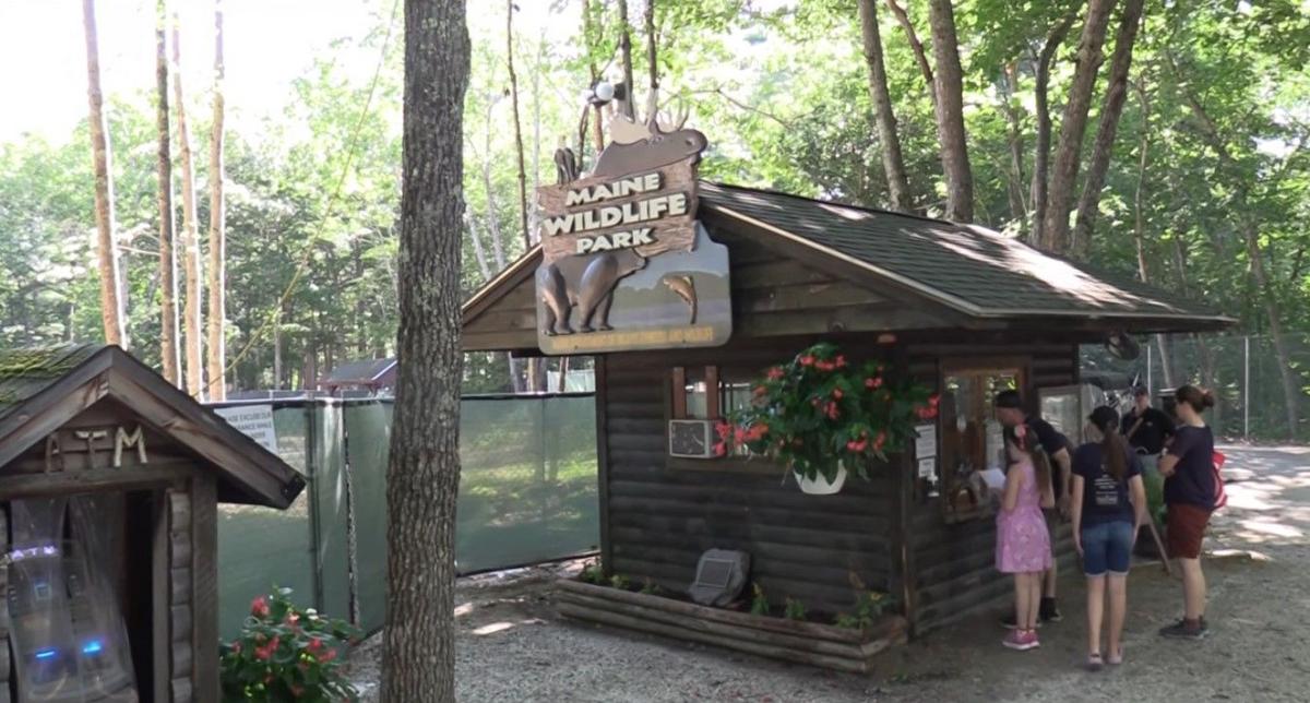 Maine Wildlife Park Opens April 2026 – Road Trip Ready