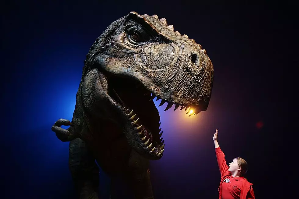Dino Trolley Maine: The Ultimate Kids’ Road Trip Adventure