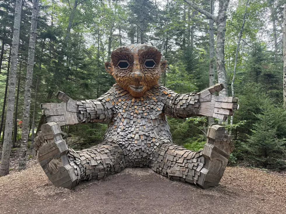 Coastal Maine Botanical Gardens: The Perfect End-of-Summer Escape