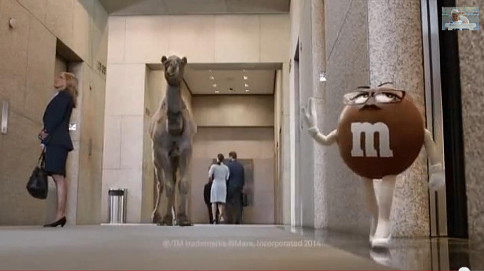 New M&#038;M &#8211; Geico Commercial (Video)