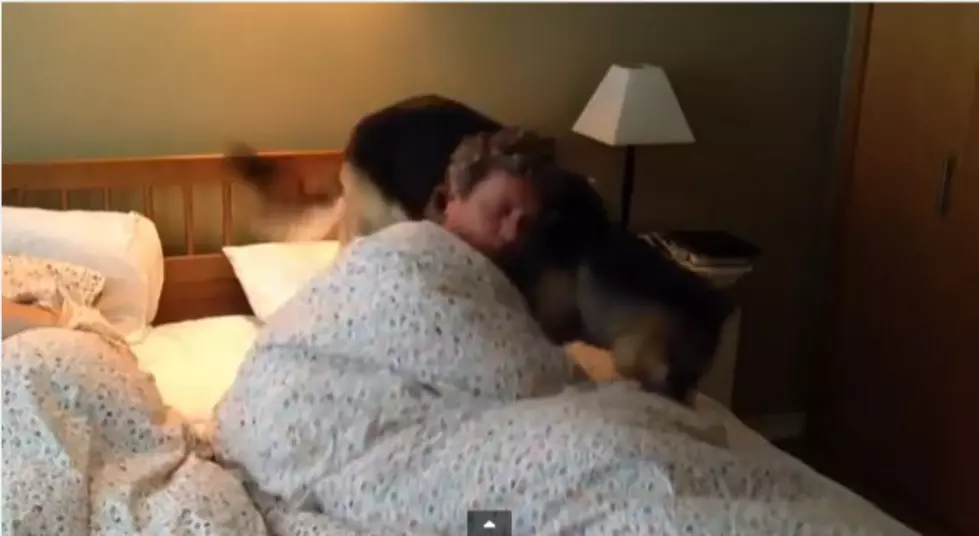 Dogs Waking Up Owners [VIDEO]