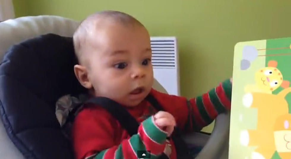 Baby Hears Lion Roar For First Time [Video]
