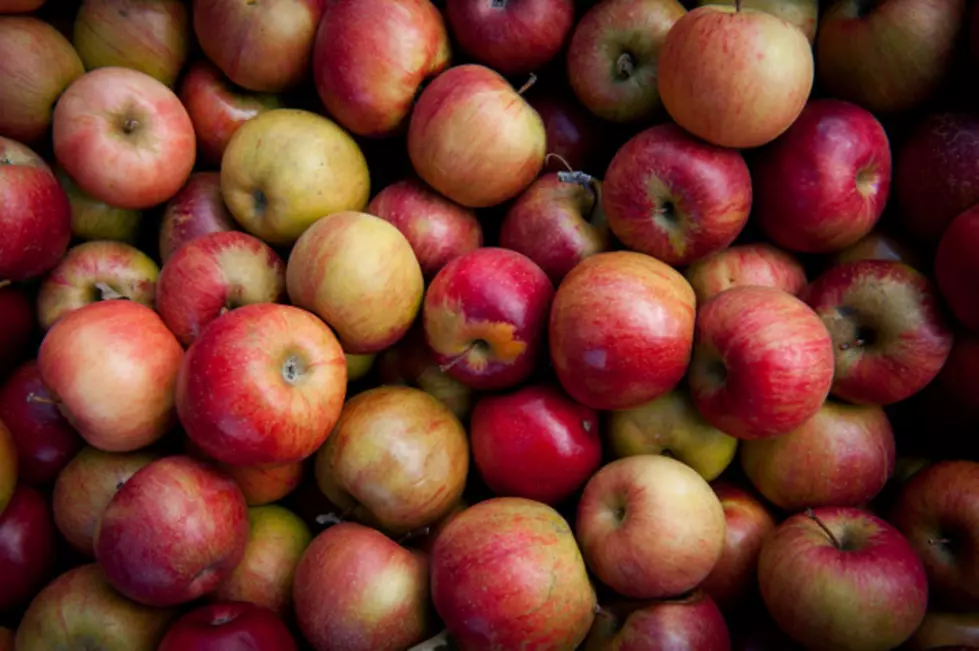Today is Maine Apple Sunday