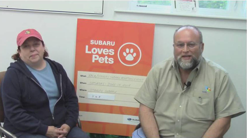 SPCA of Hancock County Adoption Event This Saturday [VIDEO]