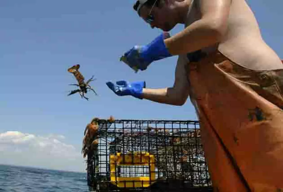 Trenton Bridge Lobster’s Wholesale Operation To Be Sold