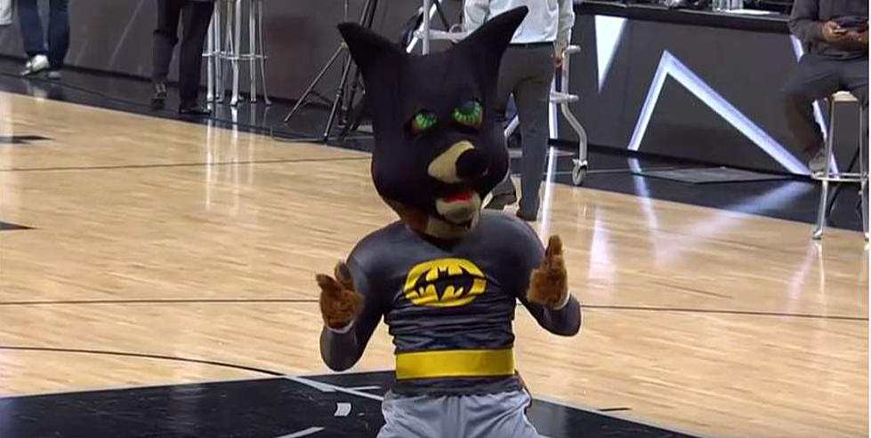Spurs Mascot Snags Flying Bat [VIDEO]