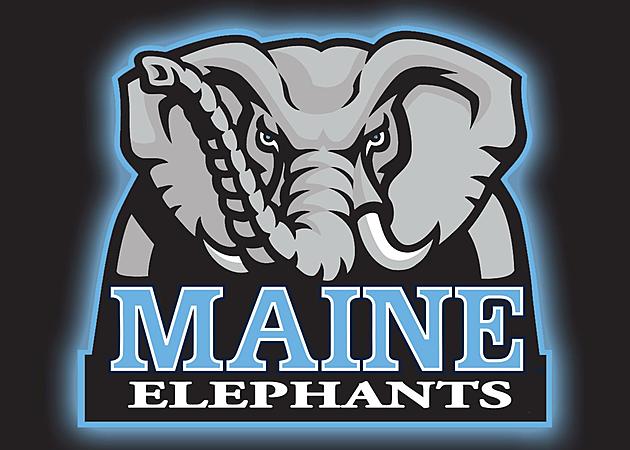 Maine to Replace Black Bear with Elephant