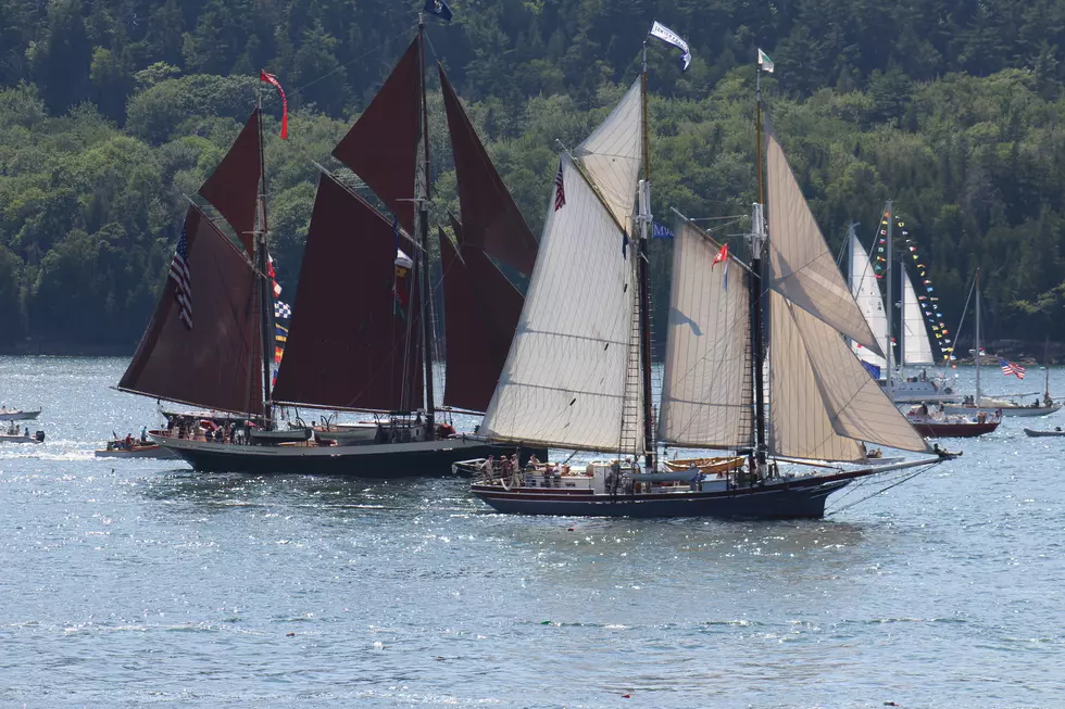 Windjammer Parade of Sail [PHOTOS/VIDEO]