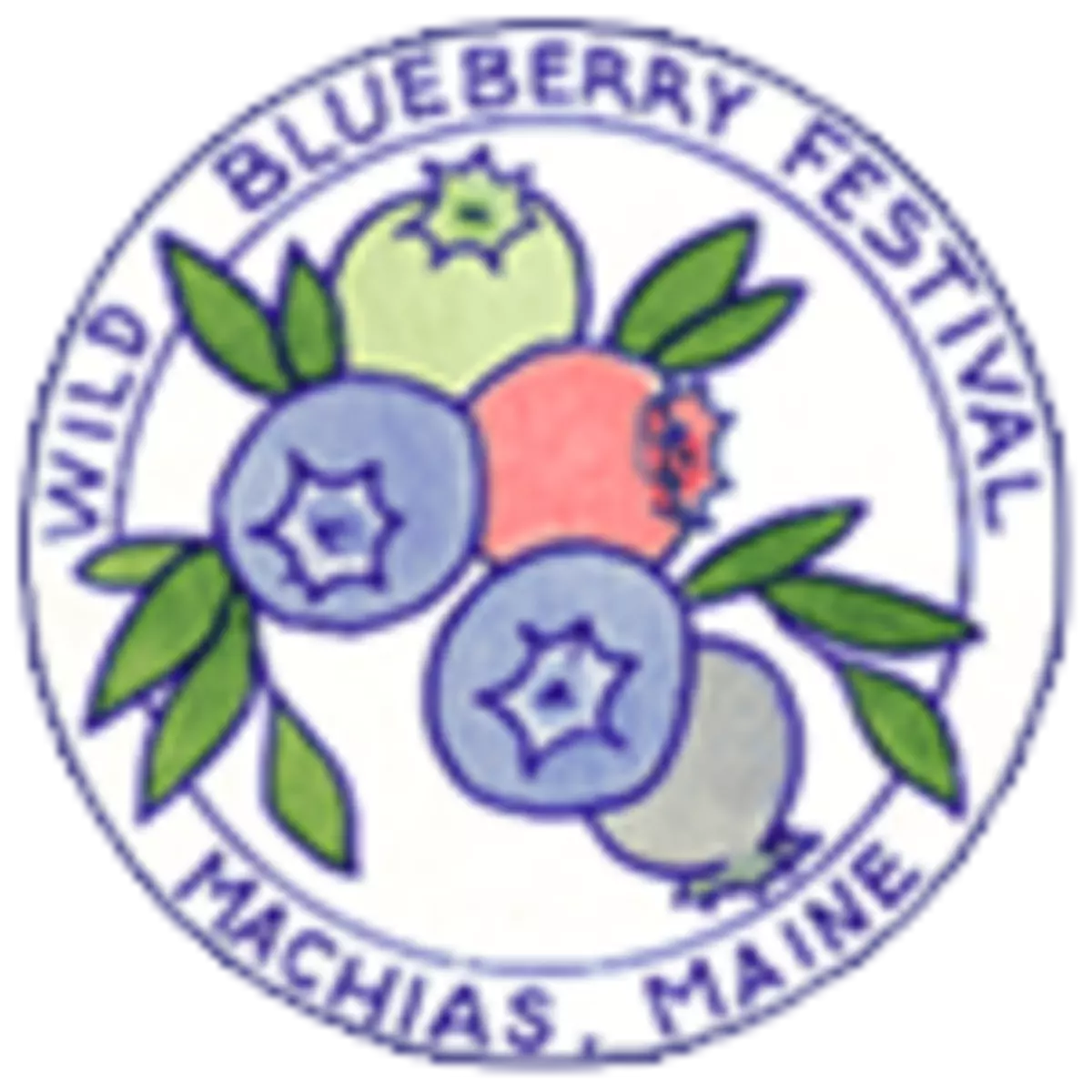 Wild Blueberry Run August 20 in Machias
