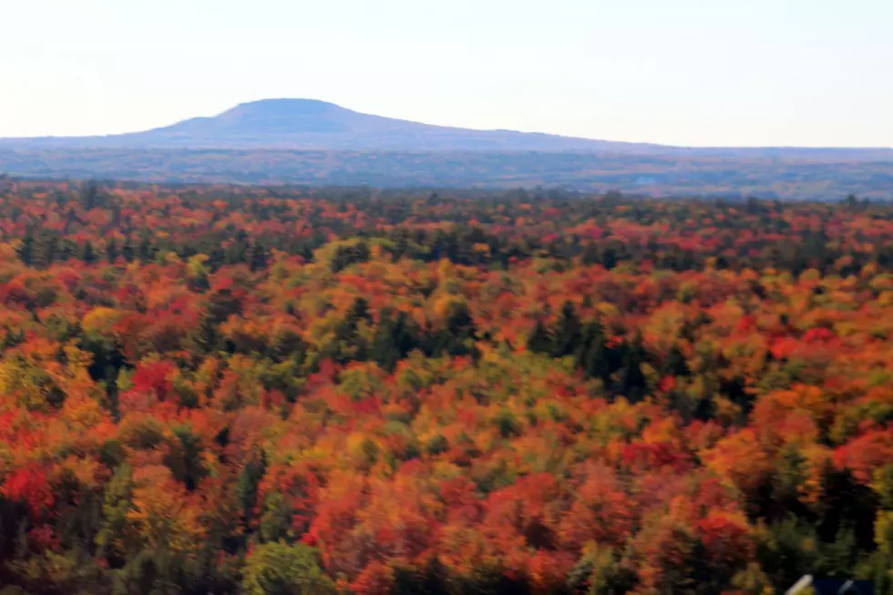 September 26 Maine Fall Foliage Report