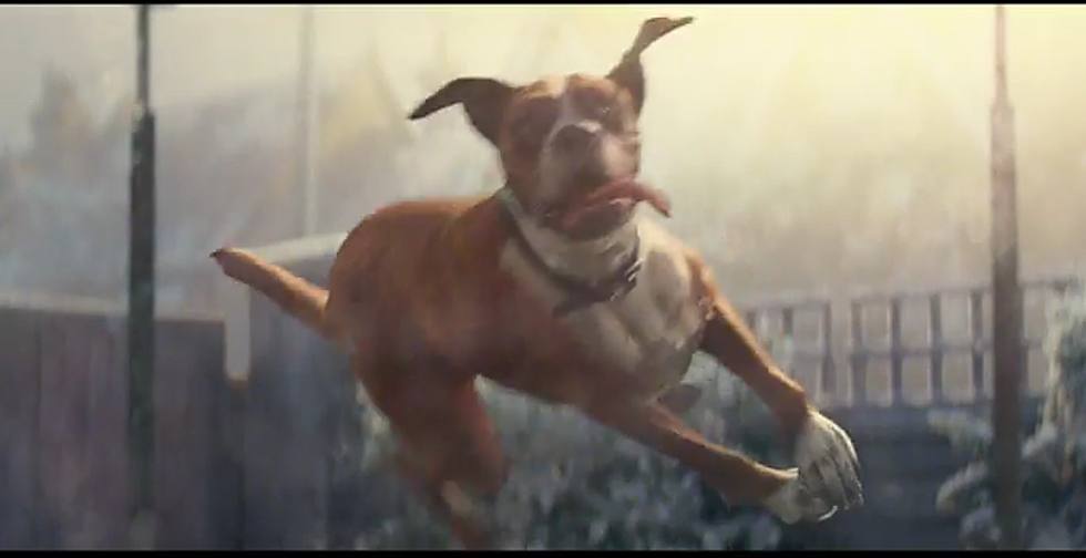 John Lewis Christmas Ad &#8211; Buster the Boxer [VIDEO]