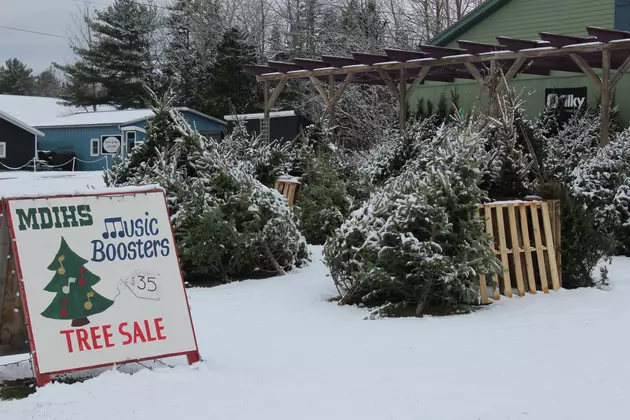MDI Music Booster&#8217;s Christmas Tree Fundraiser
