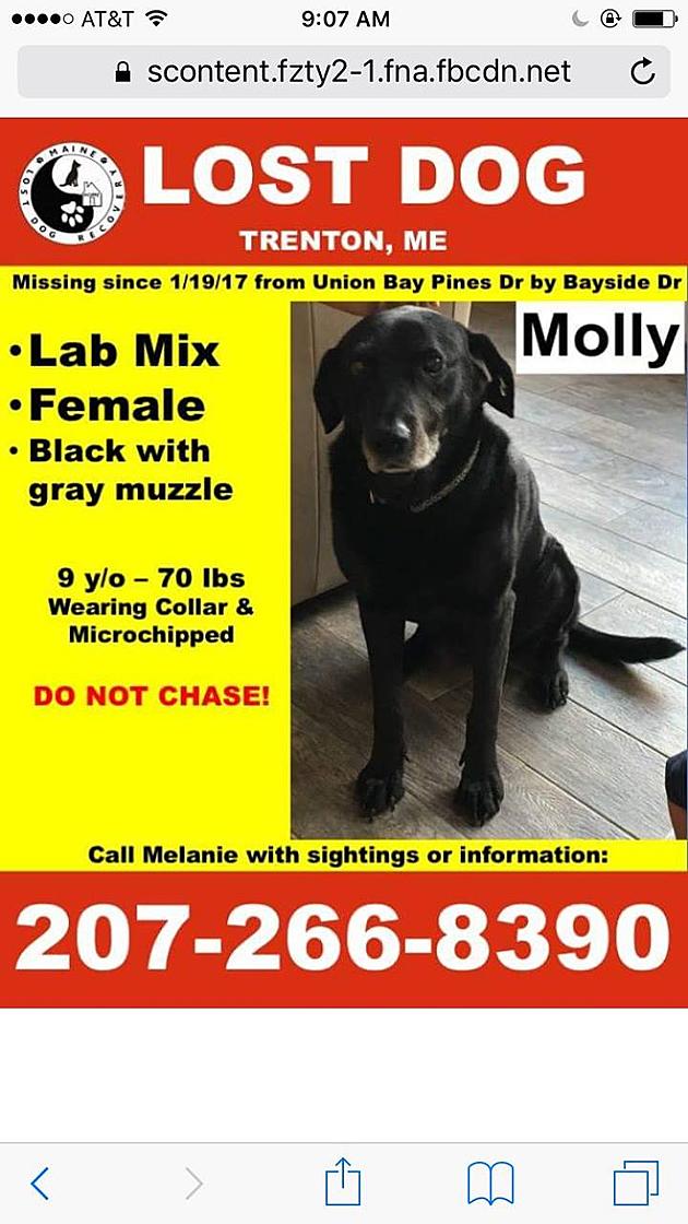 Molly Missing in Trenton [UPDATE]