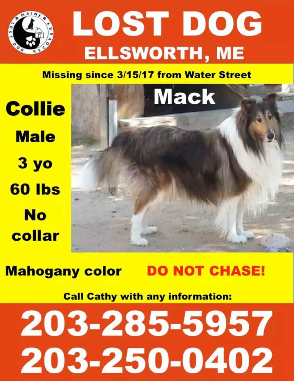 Mack Is Missing in Ellsworth