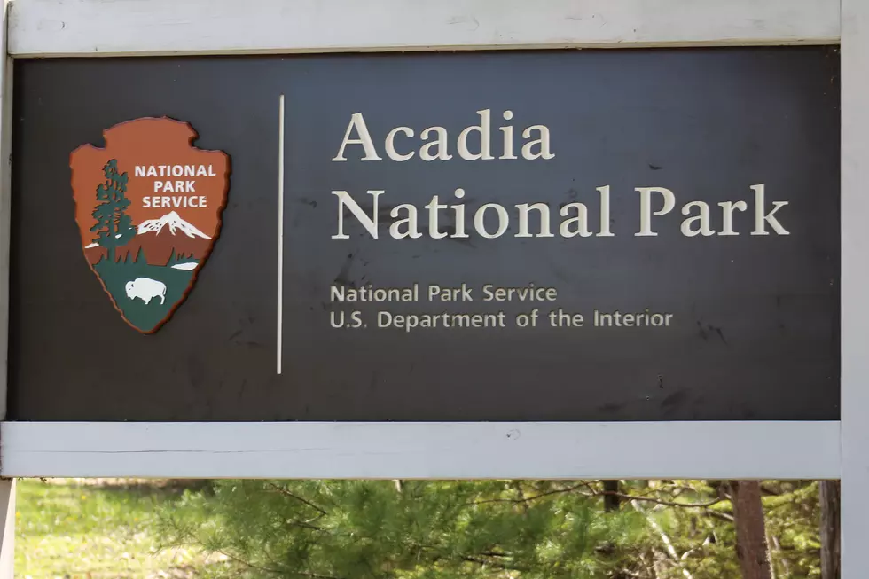 Belfast Hiker Rescued from Icy Precipice Trail at Acadia