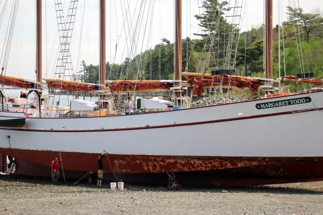 Low Tide in Bar Harbor