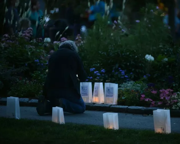 Carol Dyer Memorial &#8220;Light the Way to a Cure&#8221; Luminaria Event Ends