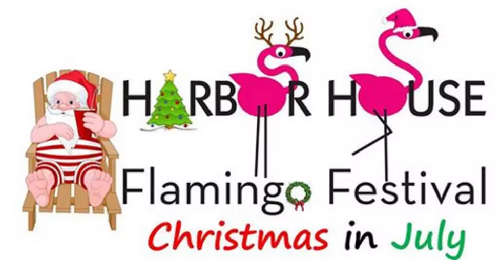 Flamingo Festival in SW Harbor