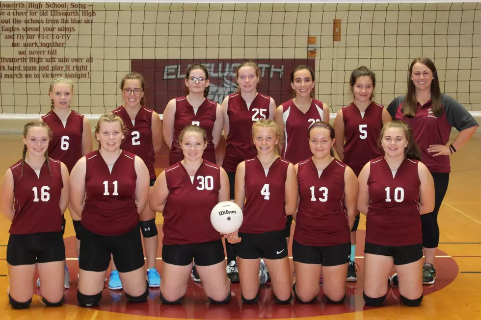 Meet the EHS JV Volleyball Team [PHOTOS]