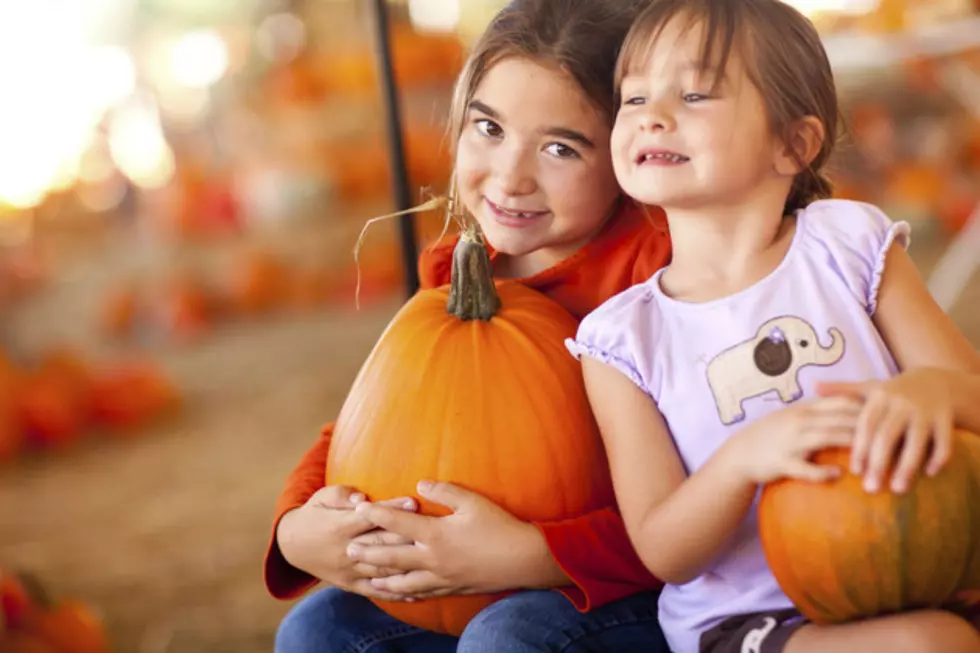 Pumpkin Sale October 5th to Benefit the MDI YWCA