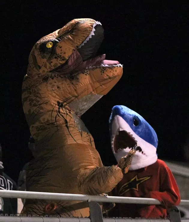 T-Rex and Shark at MDI Football [PHOTO]
