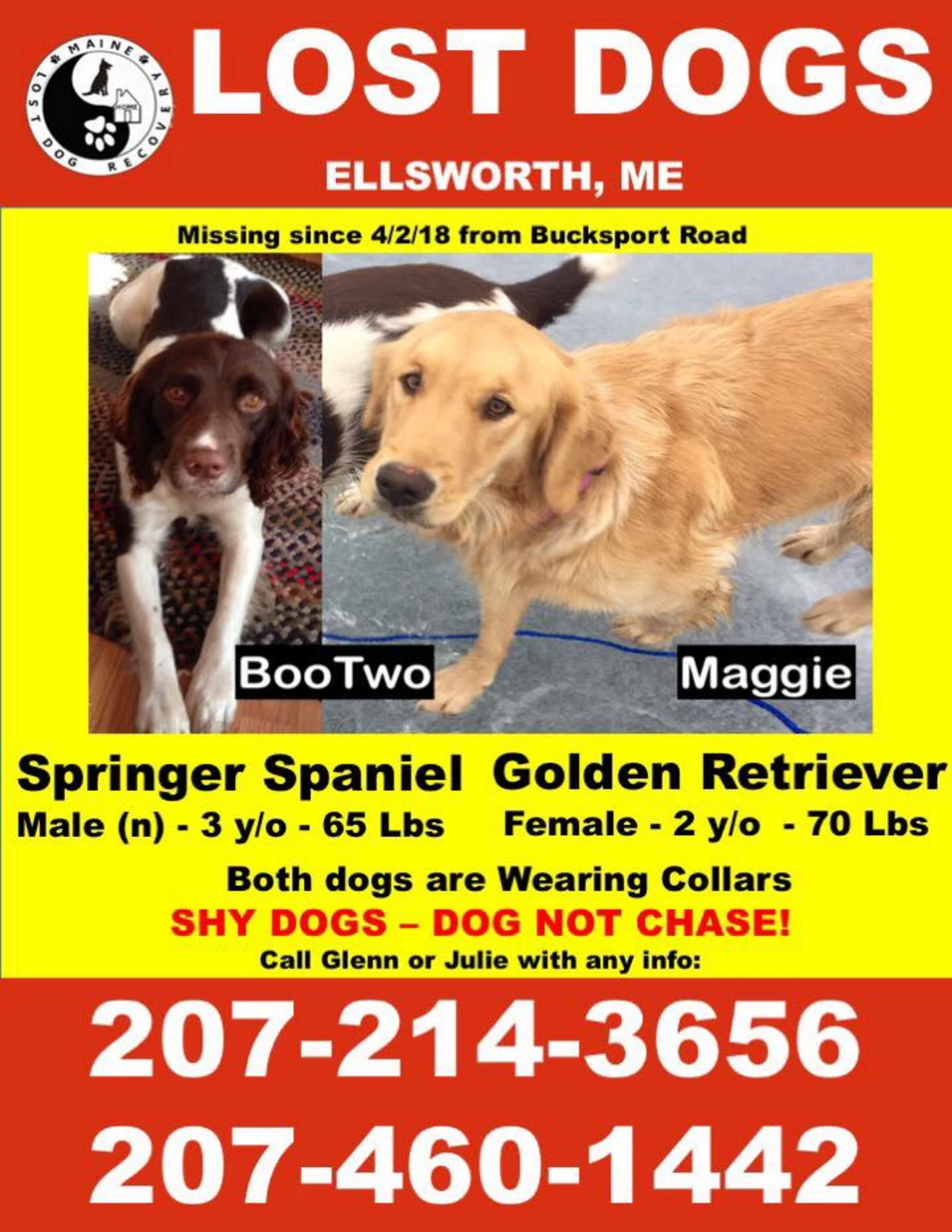 Lost Dogs in Ellsworth Found [UPDATE]