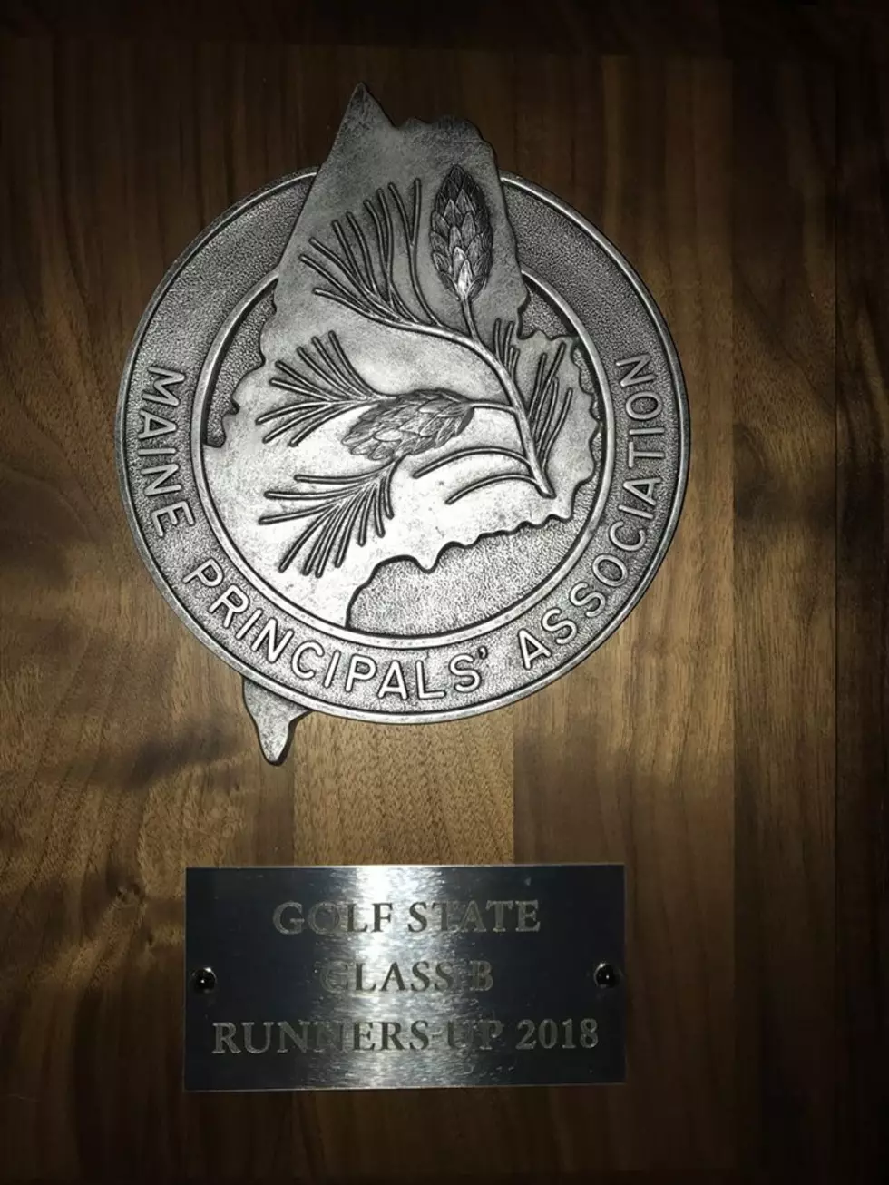 MDI Golf 2nd in Class B State Title &#8211; Wins Sportsmanship Award