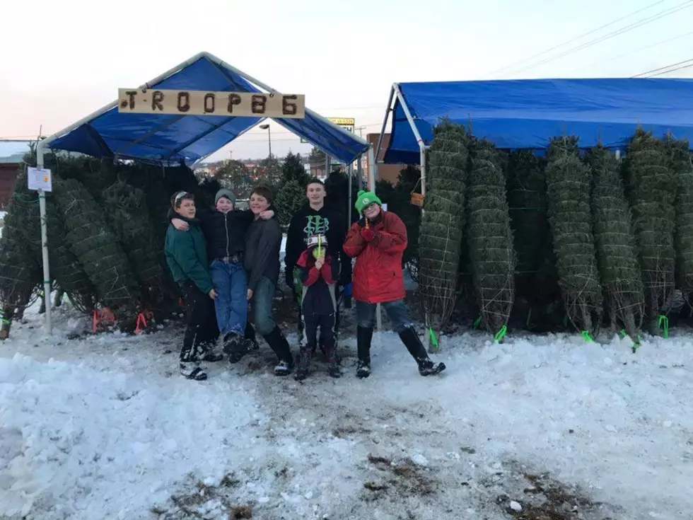 Ellsworth Boy Scout Troop 86 Christmas Tree Sales