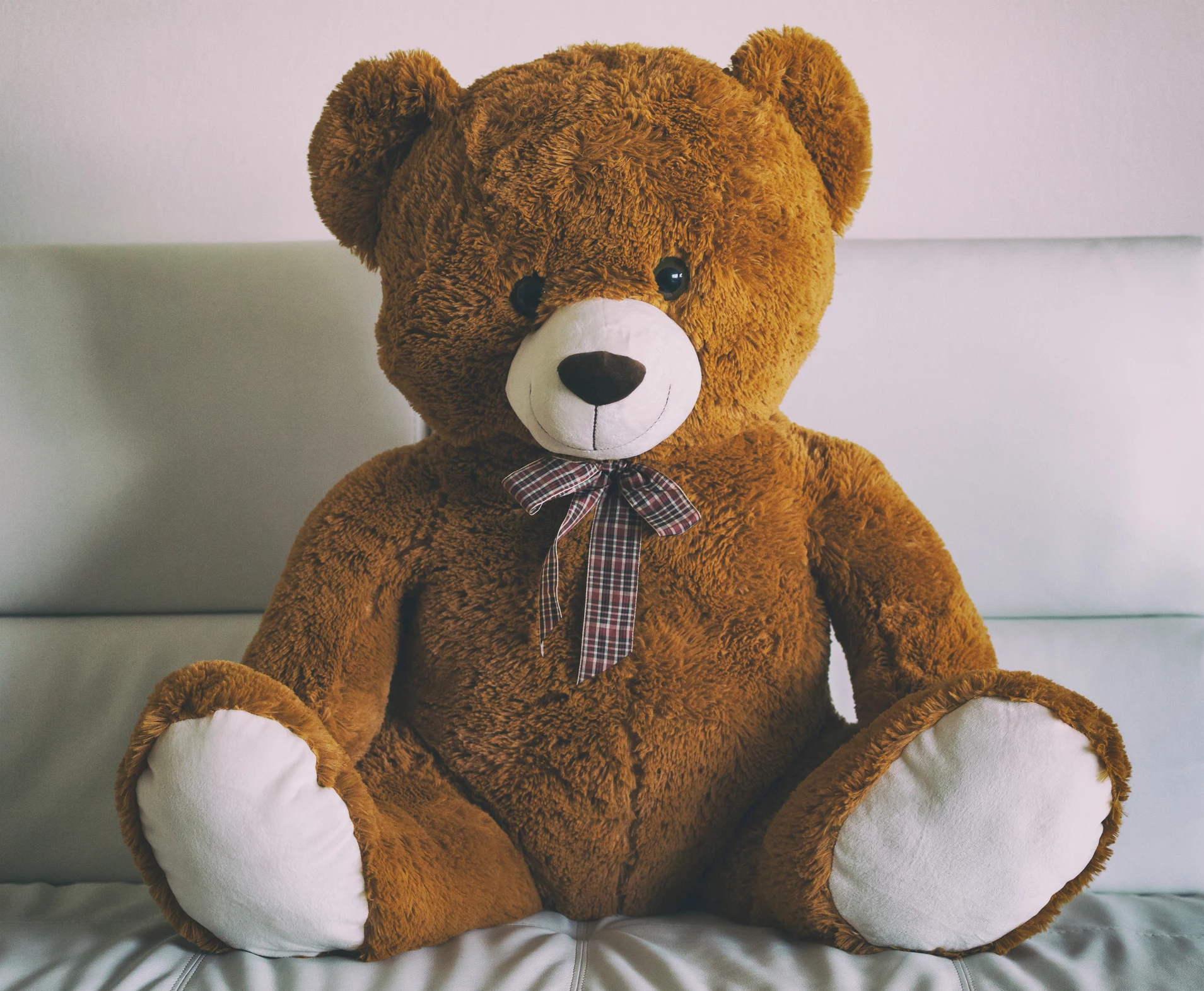 National Teddy Bear Day (September 9th)