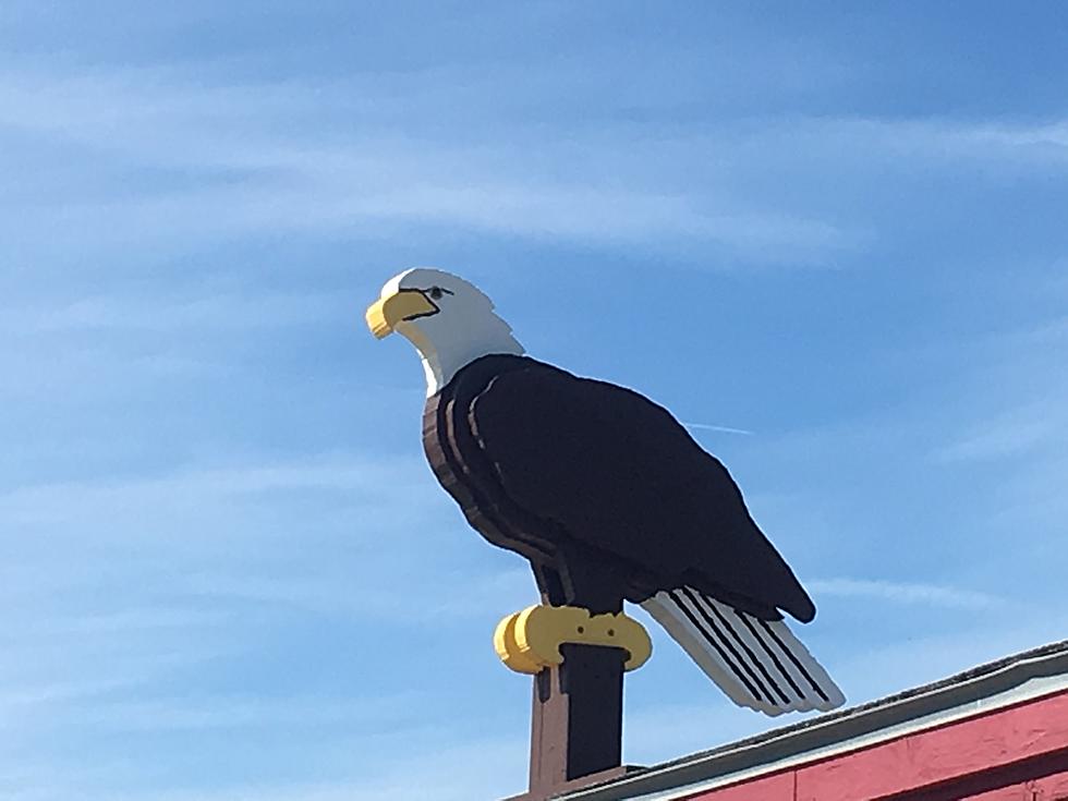 EHS Eagle Mascot Is a Great Drummer [VIDEO]