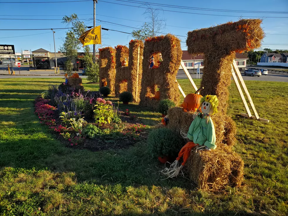 Deadline for Annual Autumn Gold Decorating Contest is Monday September 14 [PHOTOS]